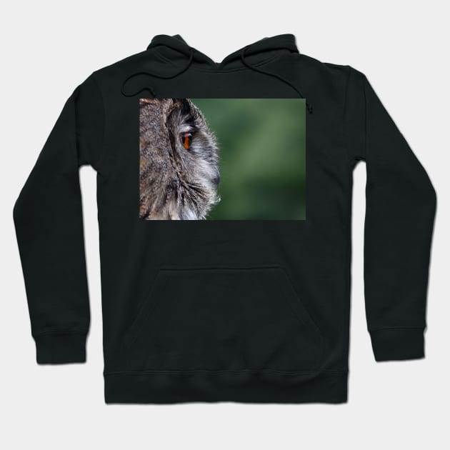 Eagle owl profile Hoodie by Jim Cumming